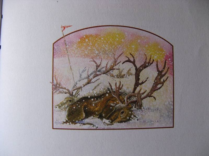 Иллюстрация 12 из 22 для Беспризорная кошка - Борис Житков | Лабиринт - книги. Источник: Осень-рыжая подружка.