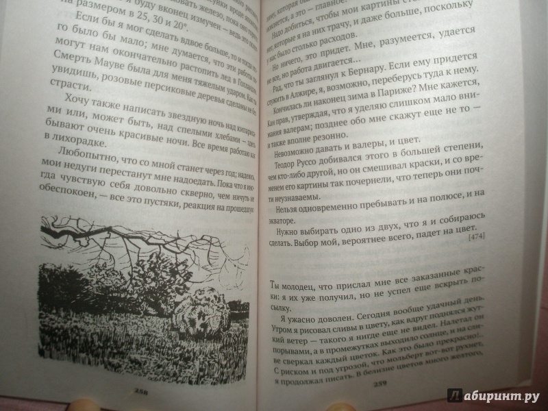 Иллюстрация 3 из 17 для Письма к брату Тео - Гог Ван | Лабиринт - книги. Источник: oluanka