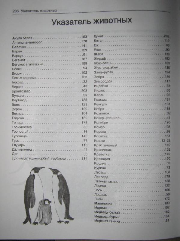 Иллюстрация 1 из 21 для Рисуем животных - Вальтер Хальбингер | Лабиринт - книги. Источник: Спанч Боб