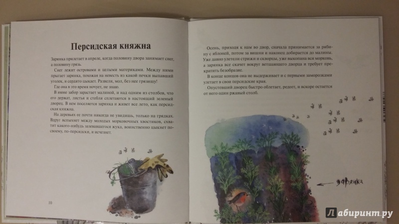 Иллюстрация 12 из 24 для Кум Королю - Станислав Востоков | Лабиринт - книги. Источник: М.