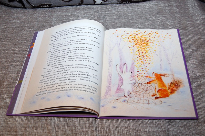 Иллюстрация 12 из 42 для Ежик в тумане - Сергей Козлов | Лабиринт - книги. Источник: t_tarakanka