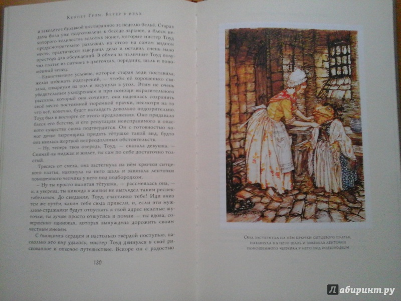 Иллюстрация 14 из 54 для Ветер в ивах - Кеннет Грэм | Лабиринт - книги. Источник: Кострицына  Наталия Александровна