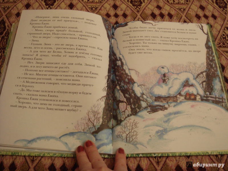 Иллюстрация 11 из 33 для Крошка Ёжик - Тамара Крюкова | Лабиринт - книги. Источник: Волкова  Алена