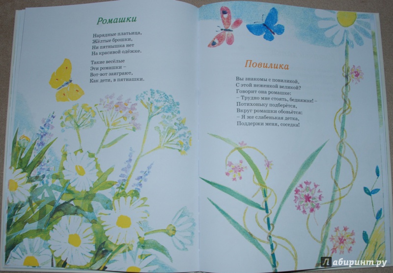 Иллюстрация 48 из 69 для Наши цветы - Екатерина Серова | Лабиринт - книги. Источник: Книжный кот