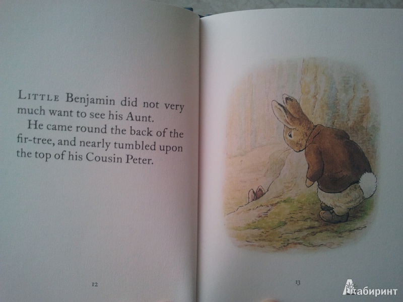 Иллюстрация 8 из 10 для The Tale of Benjamin Bunny - Beatrix Potter | Лабиринт - книги. Источник: Мухидинова  Евгения Александровна