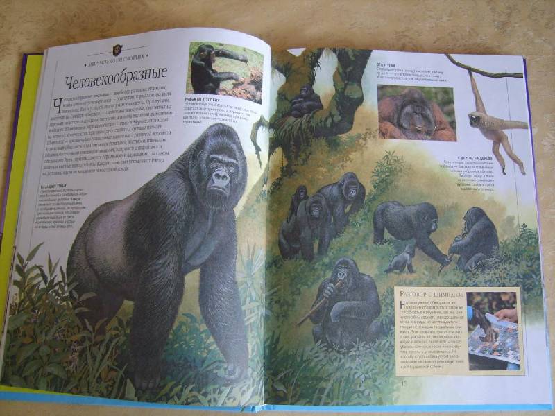 Иллюстрация 12 из 17 для Самая красивая энциклопедия животных | Лабиринт - книги. Источник: Tatka