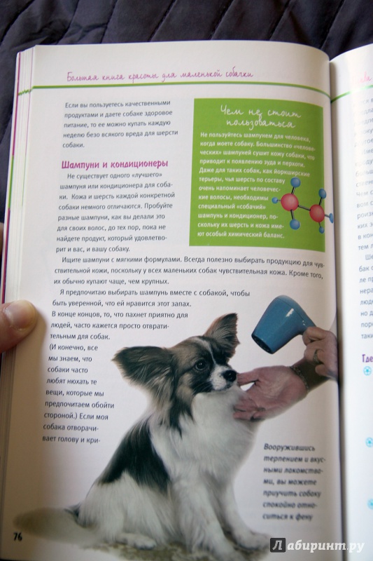Иллюстрация 6 из 22 для Большая книга красоты для маленькой собачки - Дебора Вуд | Лабиринт - книги. Источник: Vera Grey