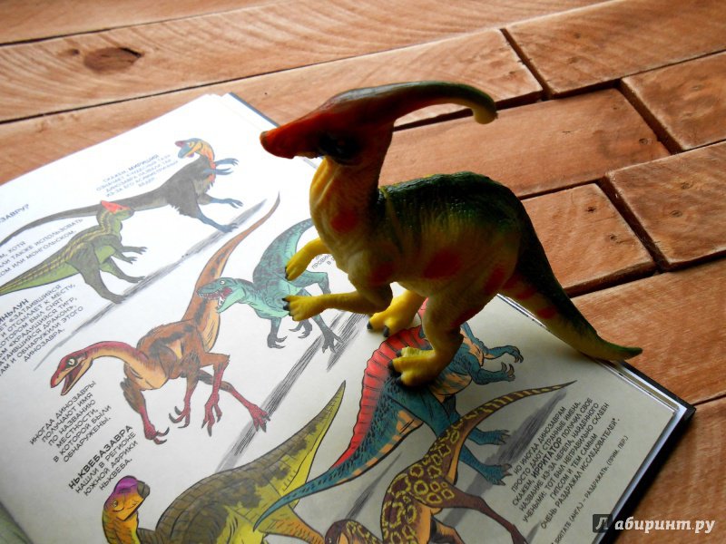 Иллюстрация 19 из 71 для Динозавры. Научный комикс - Эм-Кей, Флуд | Лабиринт - книги. Источник: Болгарина  Наталья
