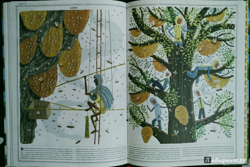 Иллюстрация 31 из 56 для Пчелы - Петр Соха | Лабиринт - книги. Источник: olala