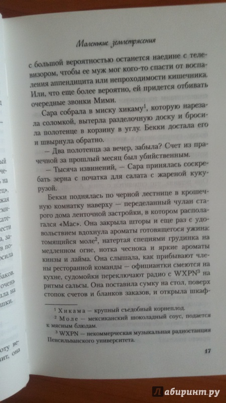 Иллюстрация 22 из 25 для Маленькие землетрясения - Дженнифер Вайнер | Лабиринт - книги. Источник: Nagato