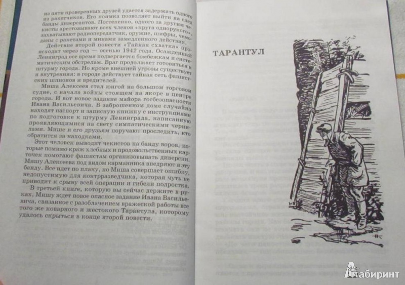 Иллюстрация 5 из 21 для Тарантул - Герман Матвеев | Лабиринт - книги. Источник: марина морская