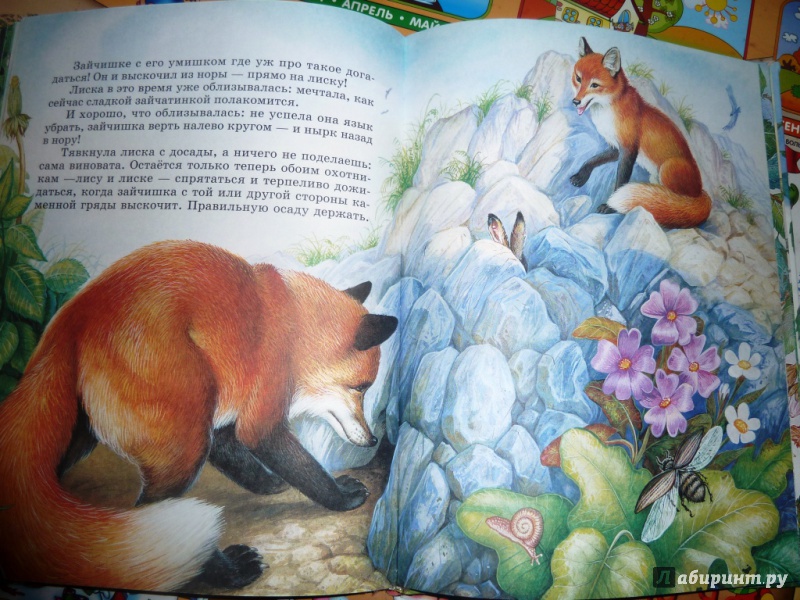 Иллюстрация 6 из 87 для Сказки о родной природе - Бианки, Сладков, Шим | Лабиринт - книги. Источник: настя тимарг