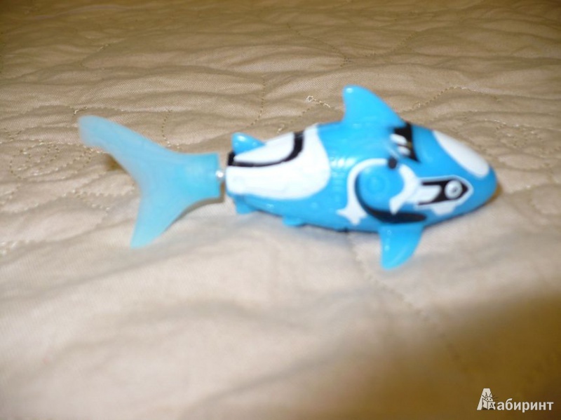 Иллюстрация 7 из 8 для РобоРыбка "Голубая Акула" (2501-6) | Лабиринт - игрушки. Источник: Kat_rina