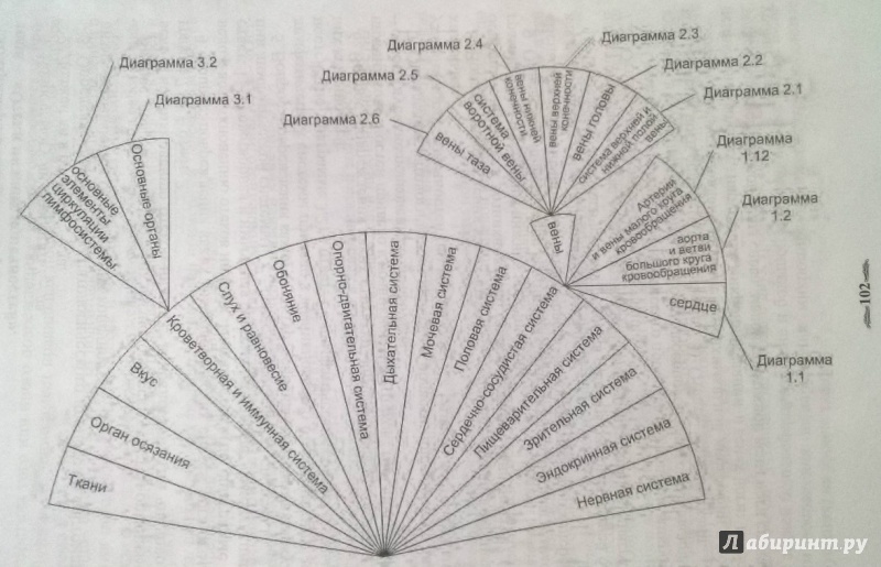 Иллюстрация 13 из 18 для Биолокация. Атлас диаграмм. Методическое пособие для диагностики - Ольга Лобышева | Лабиринт - книги. Источник: Lubava-va