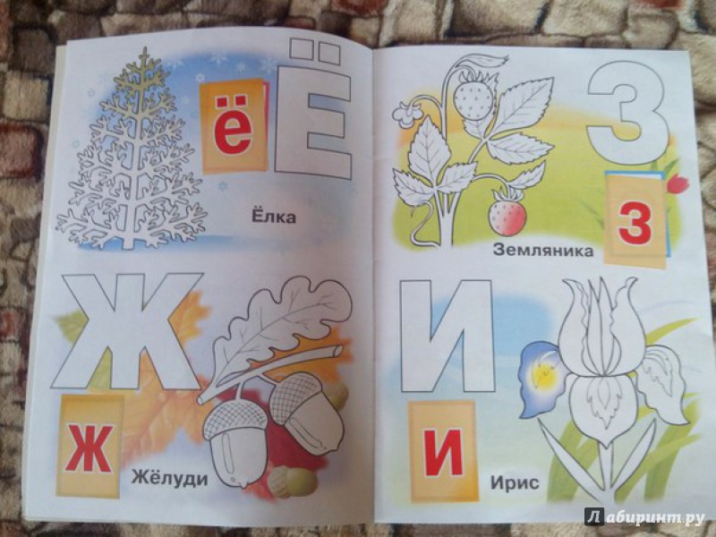 Иллюстрация 19 из 22 для Азбука с наклейками "Растения, овощи и фрукты" | Лабиринт - книги. Источник: Сажина  Александра Андреевна