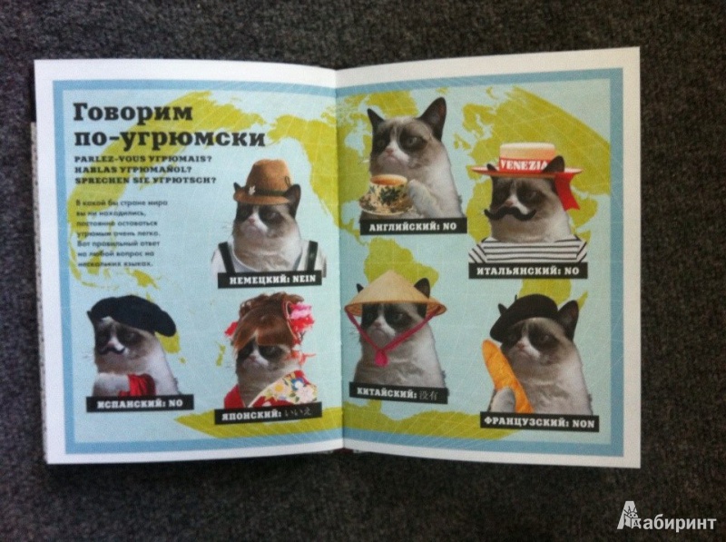 Иллюстрация 3 из 20 для Grumpy Cat. Сердитая книга от самой сердитой кошки в мире | Лабиринт - книги. Источник: Ann Novikova