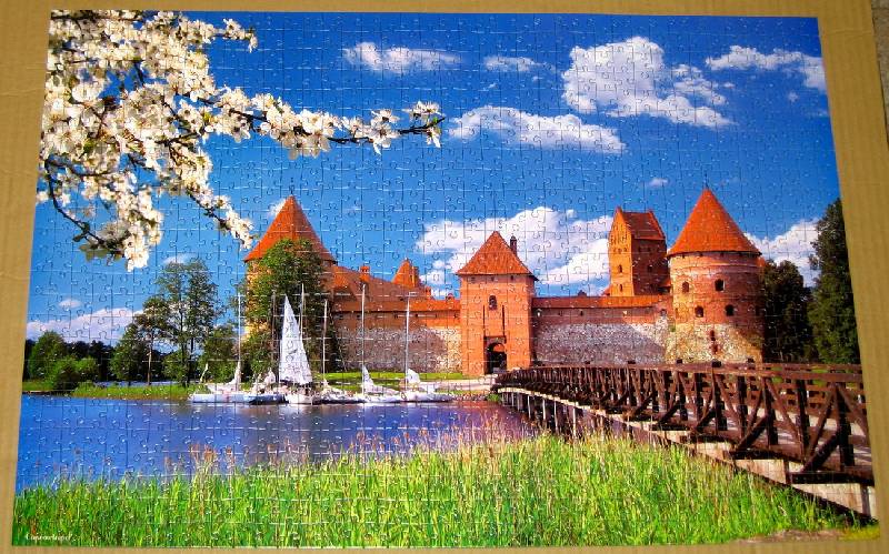 Иллюстрация 2 из 11 для Puzzle-1000 "Trakai Castle, Lithuania" (С-101306) | Лабиринт - игрушки. Источник: Губяткин  Павел Владимирович