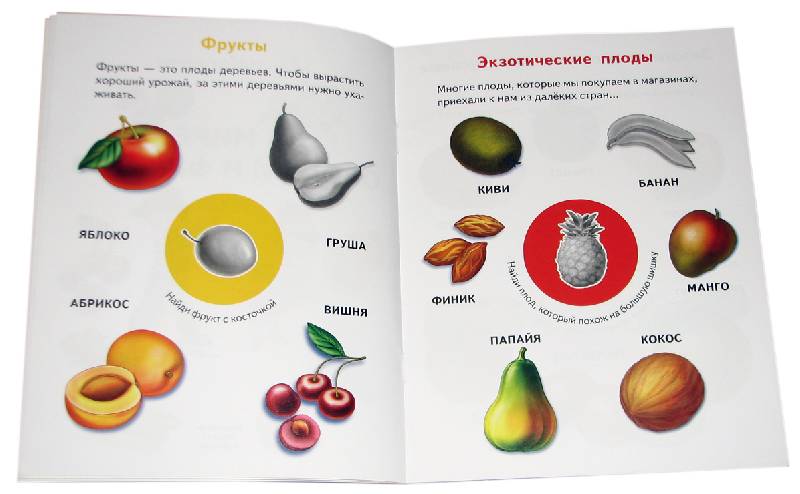 Иллюстрация 2 из 2 для В мире овощей и фруктов - Юрий Гурин | Лабиринт - книги. Источник: *Мария*
