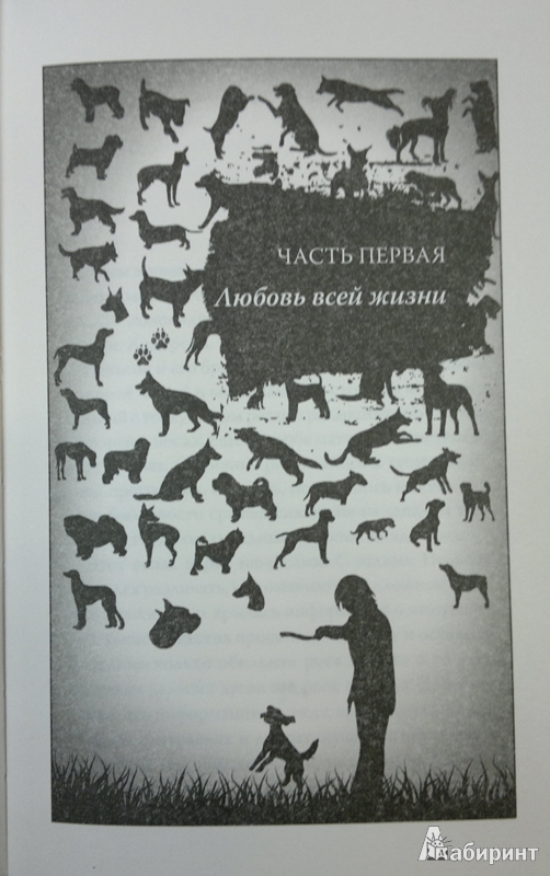Иллюстрация 6 из 14 для Бродяга - Алан Лазар | Лабиринт - книги. Источник: Леонид Сергеев