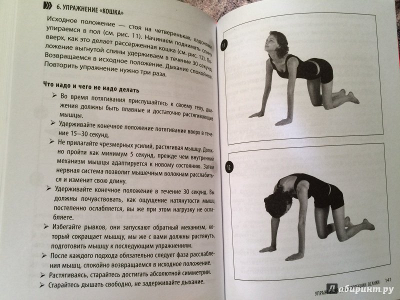 Иллюстрация 30 из 31 для Упражнения для увеличения груди - Екатерина Смирнова | Лабиринт - книги. Источник: IraIra
