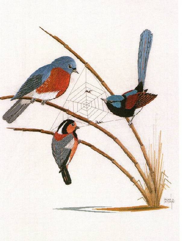 Иллюстрация 33 из 33 для Птицы. Практическое руководство - Хелен Стивенс | Лабиринт - книги. Источник: Юта