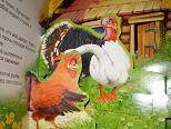 Иллюстрация 2 из 11 для Сказка в окошке: Пшеничный колосок | Лабиринт - книги. Источник: Ирина