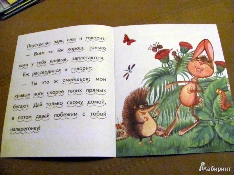 Иллюстрация 3 из 31 для Ёж и заяц - Лев Толстой | Лабиринт - книги. Источник: Oho  Oho