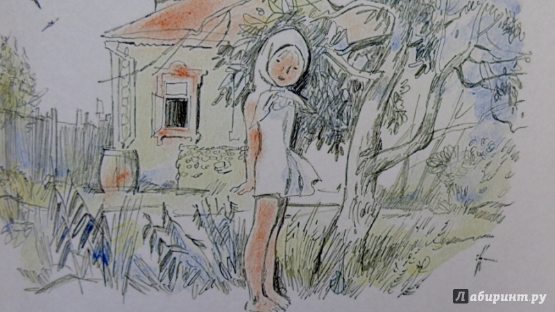 Иллюстрация 12 из 34 для Бабушкин сад - Константин Паустовский | Лабиринт - книги. Источник: Матти Суоми