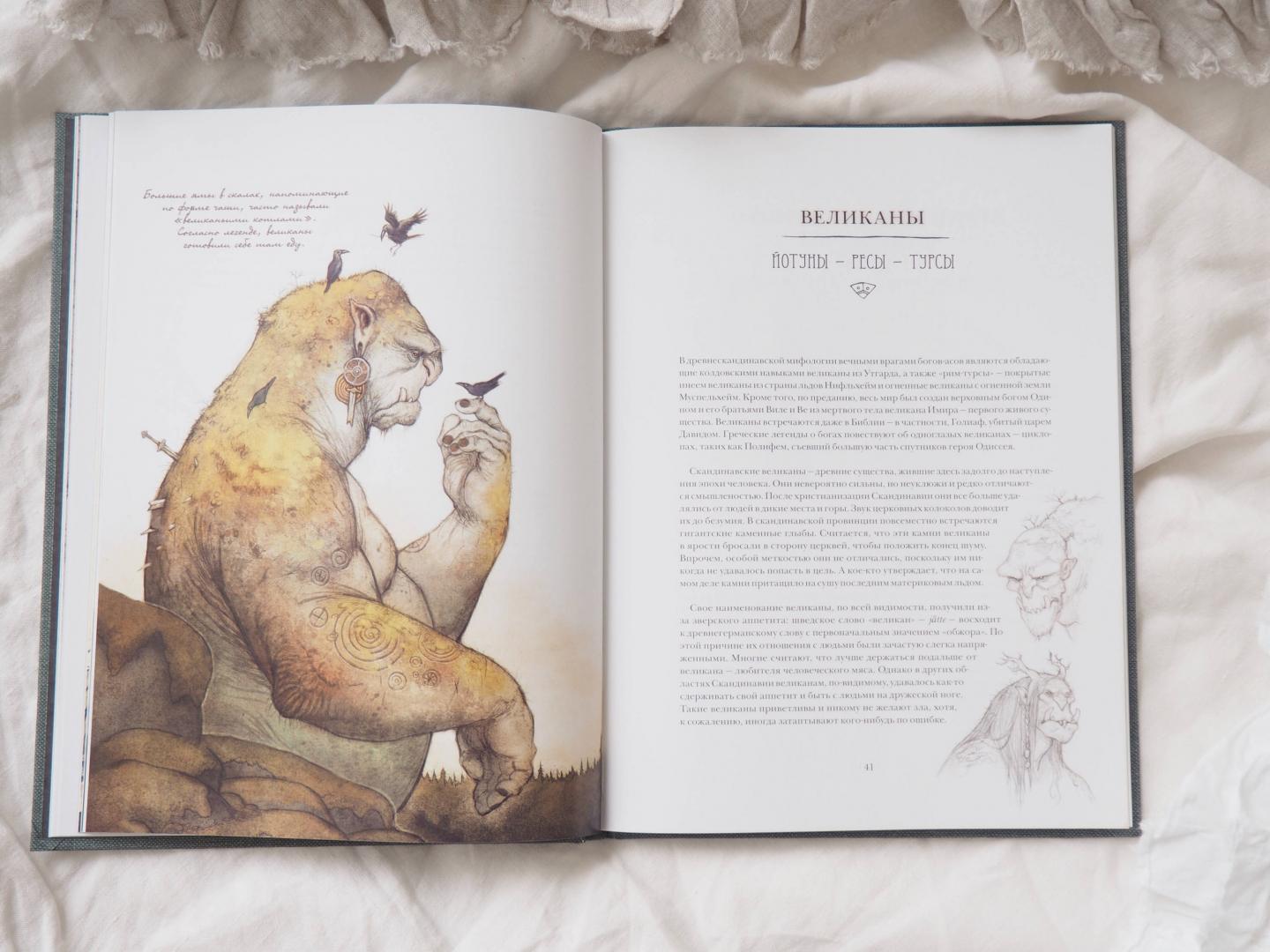 Иллюстрация 45 из 48 для Волшебные существа Севера - Юхан Эгеркранс | Лабиринт - книги. Источник: Шурыгина  Татьяна