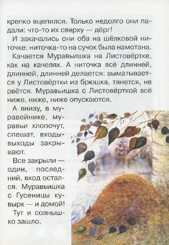 Иллюстрация 35 из 40 для Сказки и рассказы о животных - Виталий Бианки | Лабиринт - книги. Источник: Igra