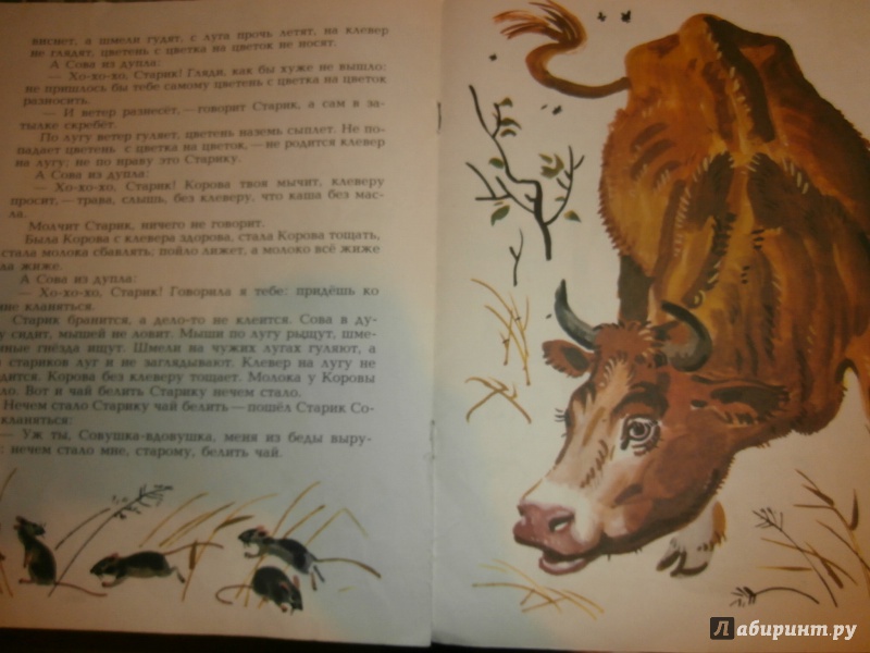 Иллюстрация 8 из 32 для Сова - Виталий Бианки | Лабиринт - книги. Источник: Tiger.