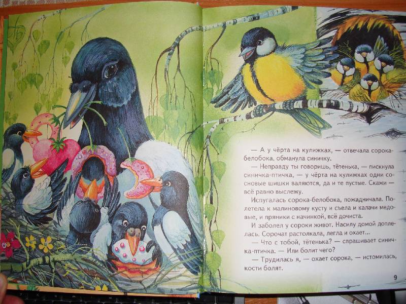 Иллюстрация 3 из 34 для Большая птичья книга | Лабиринт - книги. Источник: Нинуля