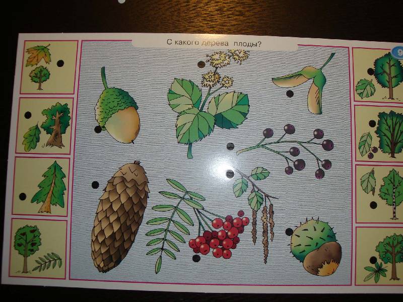 Иллюстрация 8 из 35 для Набор карточек к игре "Смекалочка" (1050) | Лабиринт - игрушки. Источник: Ogha
