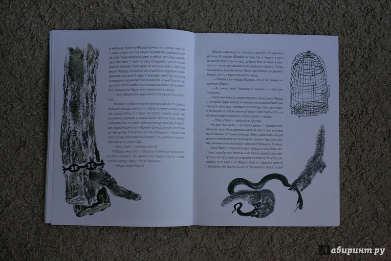 Иллюстрация 25 из 40 для Мангуста - Борис Житков | Лабиринт - книги. Источник: дважды