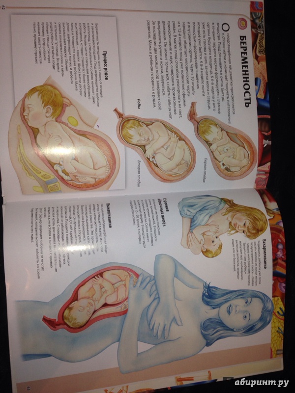 Иллюстрация 40 из 52 для Детский атлас анатомии - Винченцо Гуиди | Лабиринт - книги. Источник: Strangeros