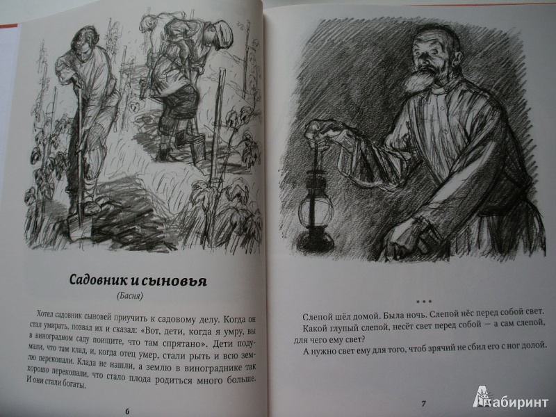 Иллюстрация 3 из 24 для Косточка - Лев Толстой | Лабиринт - книги. Источник: Tiger.