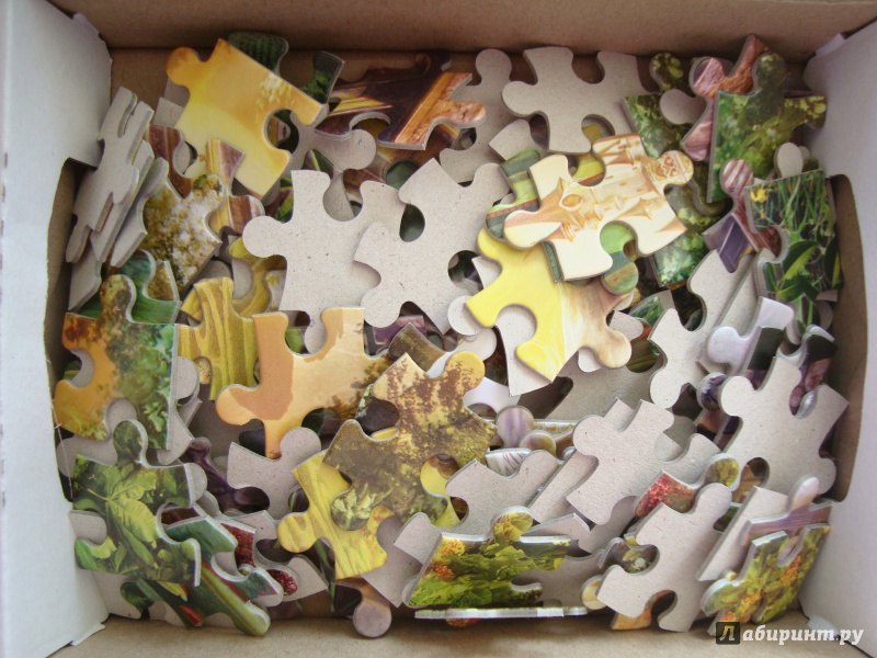 Иллюстрация 3 из 5 для Пазл-мозаика "Зачарованный сад" (В-12664) | Лабиринт - игрушки. Источник: Ярославцева  Марина Викторовна
