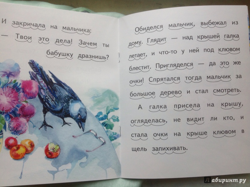 Иллюстрация 6 из 11 для Галка - Борис Житков | Лабиринт - книги. Источник: Буторина  Маргарита