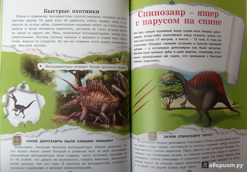 Иллюстрация 16 из 24 для Динозавры - Дмитрий Кошевар | Лабиринт - книги. Источник: Соловьев  Владимир