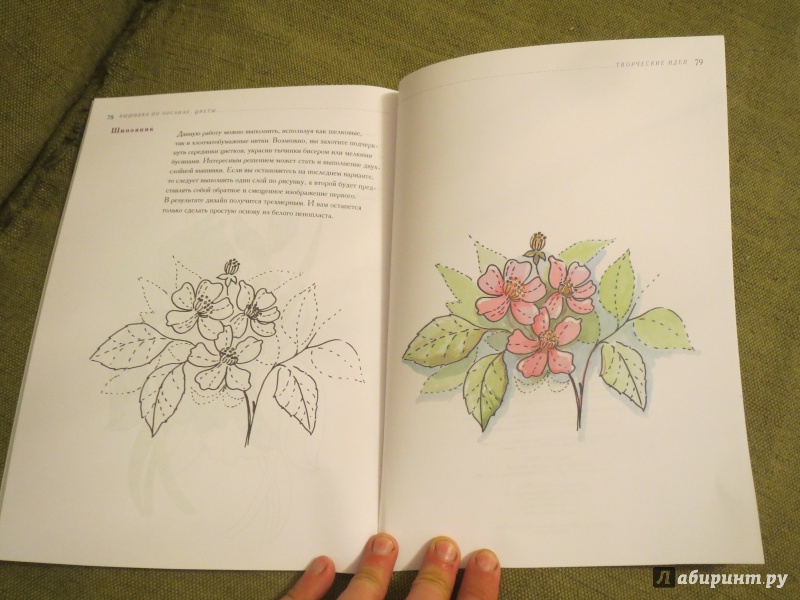 Иллюстрация 9 из 42 для Вышивка по органзе. Цветы - Гари Кларк | Лабиринт - книги. Источник: Кудрявцева  Наталья