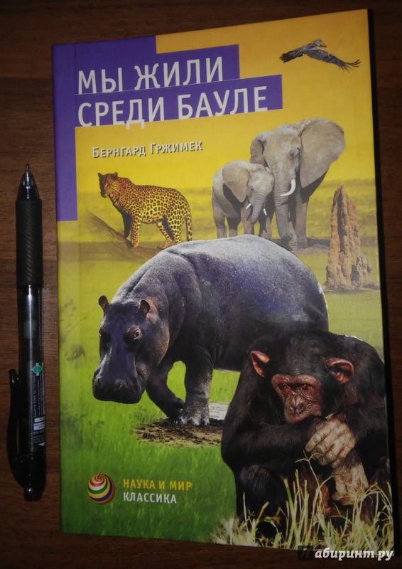 Иллюстрация 10 из 30 для Мы жили среди бауле - Бернгард Гржимек | Лабиринт - книги. Источник: WhiteOwl