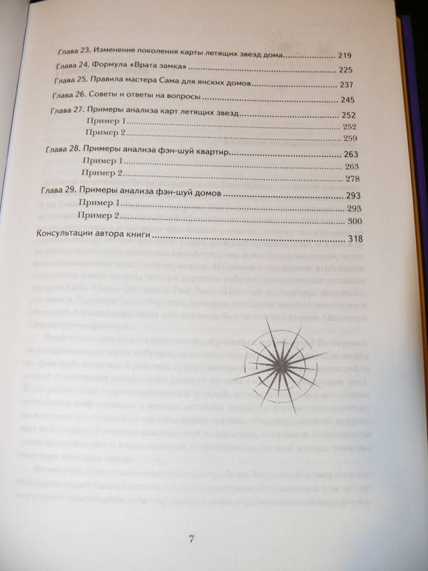 Иллюстрация 18 из 29 для Фэн-шуй летящих звезд. Энергетическая модель - Лев Игельник | Лабиринт - книги. Источник: Caelus