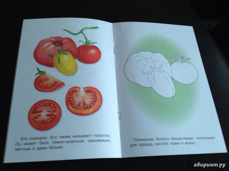 Иллюстрация 6 из 18 для Раскраска. Раскрашиваем и учимся. Овощи | Лабиринт - книги. Источник: Boegaeva  Julia Прямой Телефон 0032488350110