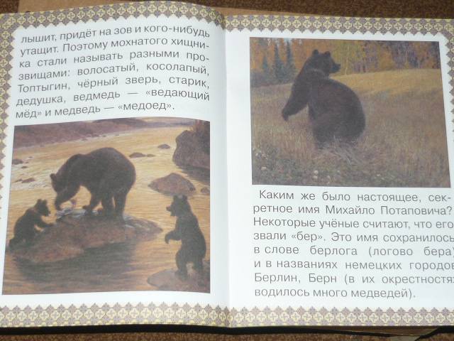 Иллюстрация 15 из 41 для Косолапые истории. Все о медведях - Екатерина Малинина | Лабиринт - книги. Источник: Ромашка:-)