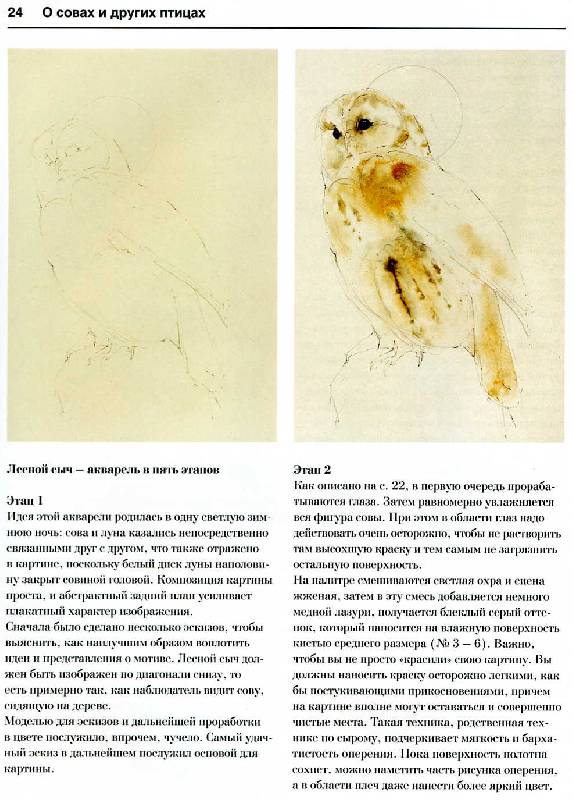 Иллюстрация 8 из 15 для Животные и птицы. Акварель - Бодо Майер | Лабиринт - книги. Источник: Росинка