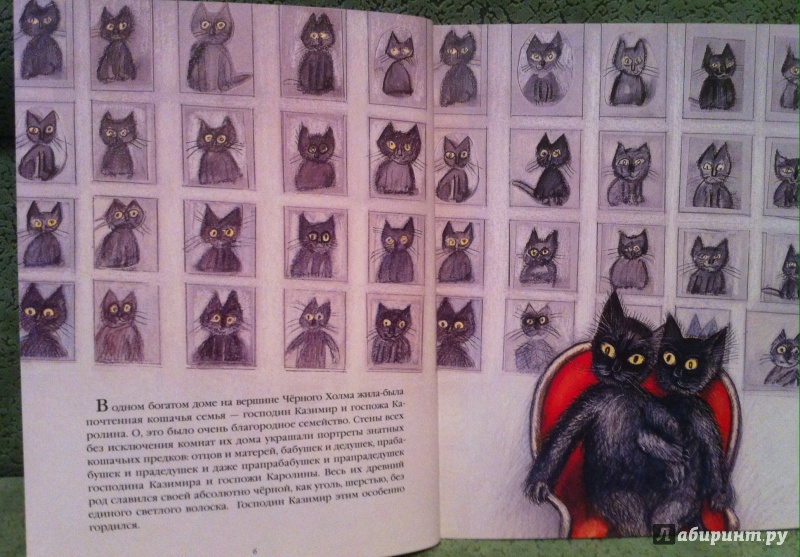 Иллюстрация 13 из 33 для История про кошку Розалинду, непохожую на других - Петр Вилкон | Лабиринт - книги. Источник: Kyu82