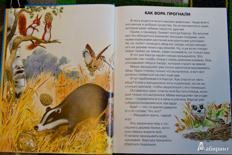 Иллюстрация 5 из 36 для Веселые истории о животных - Пьеранджела Фьорани | Лабиринт - книги. Источник: nata_
