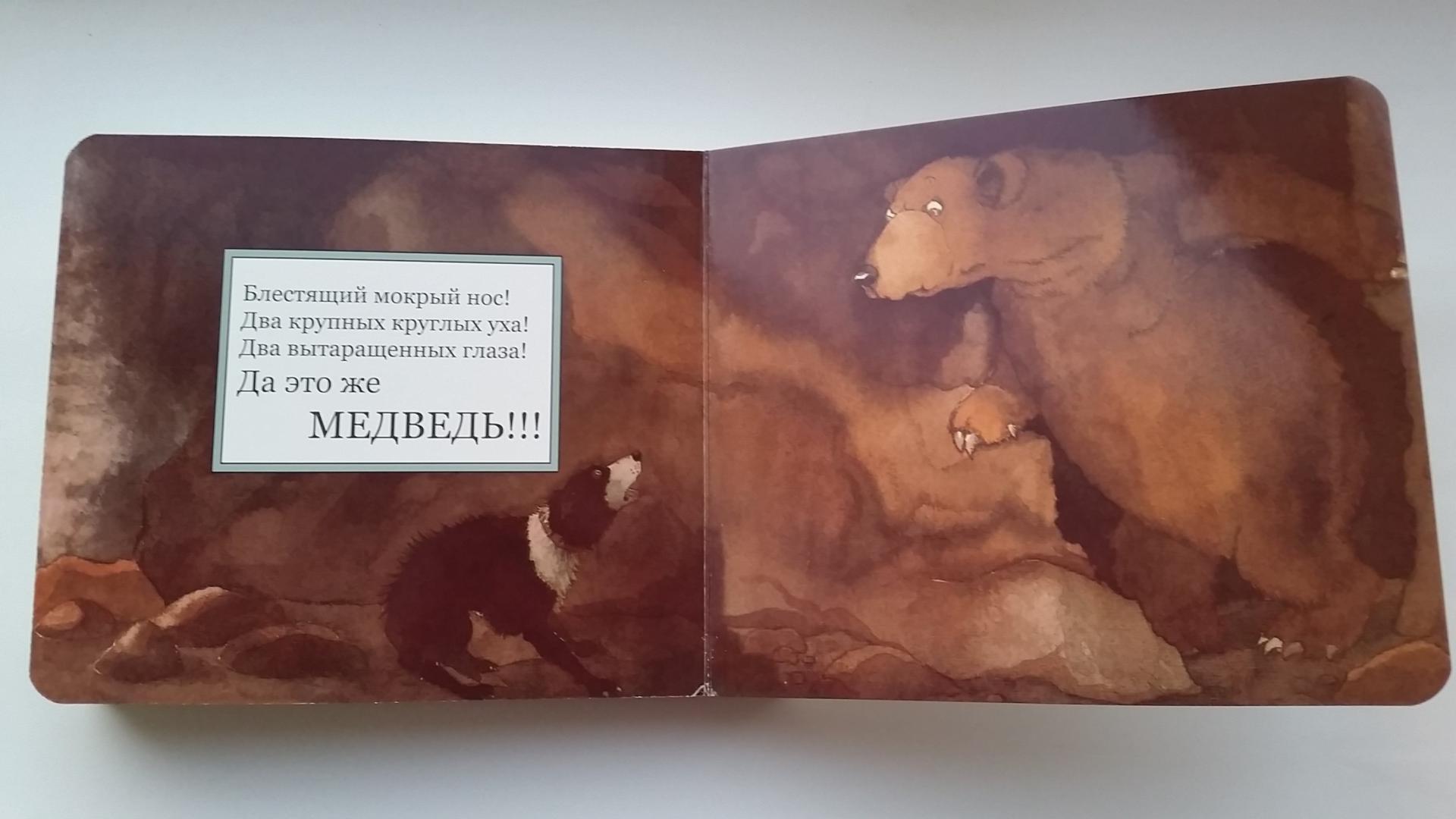 Иллюстрация 38 из 74 для Идем ловить медведя - Розен, Оксенбери | Лабиринт - книги. Источник: Таня Эс