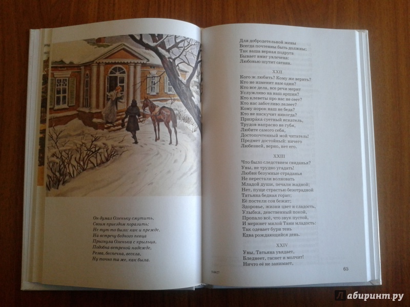 Иллюстрация 17 из 28 для Евгений Онегин - Александр Пушкин | Лабиринт - книги. Источник: strela