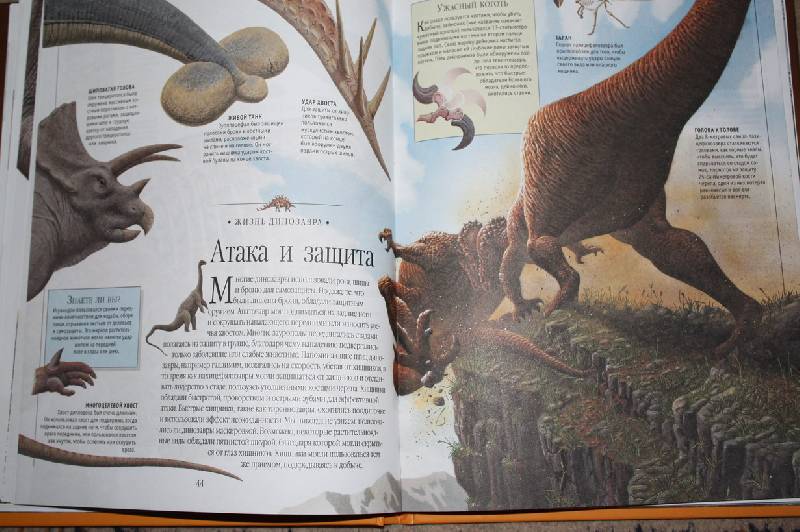 Иллюстрация 14 из 45 для Динозавры и рептилии | Лабиринт - книги. Источник: Шелковица